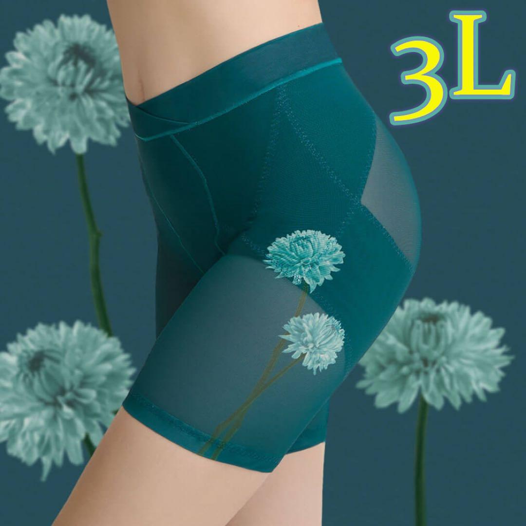 DRMETHOD Slibee スリビーガードル 3L 三枚セット