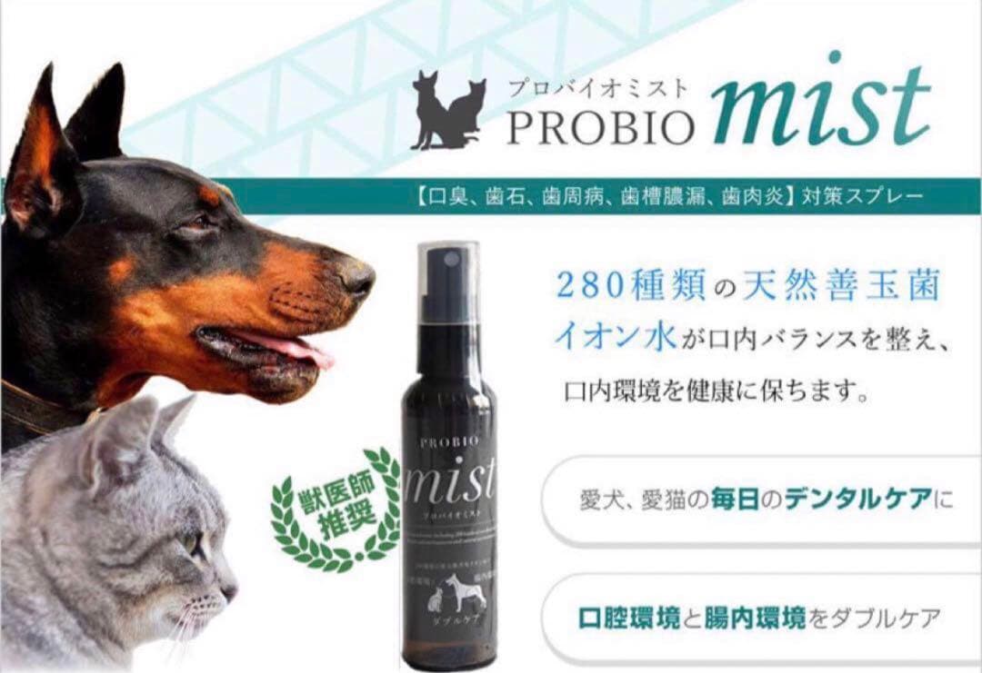 新品未使用品　５本　◉プロバイオミスト　※歯石予防動物病院推奨