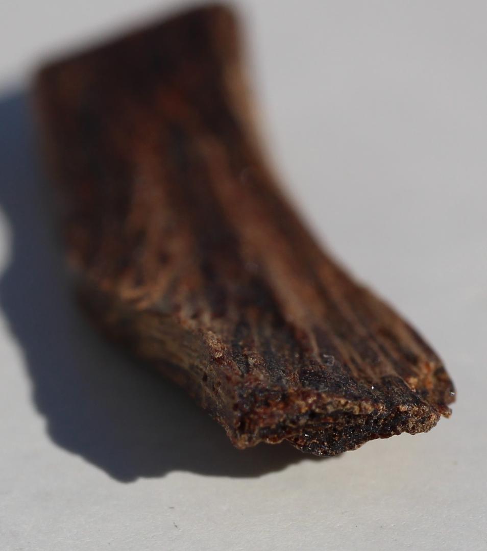 香木 古渡命銘木 「初音」約0.2g 小分け沈香 伽羅 奇南 奇楠 お香 香道