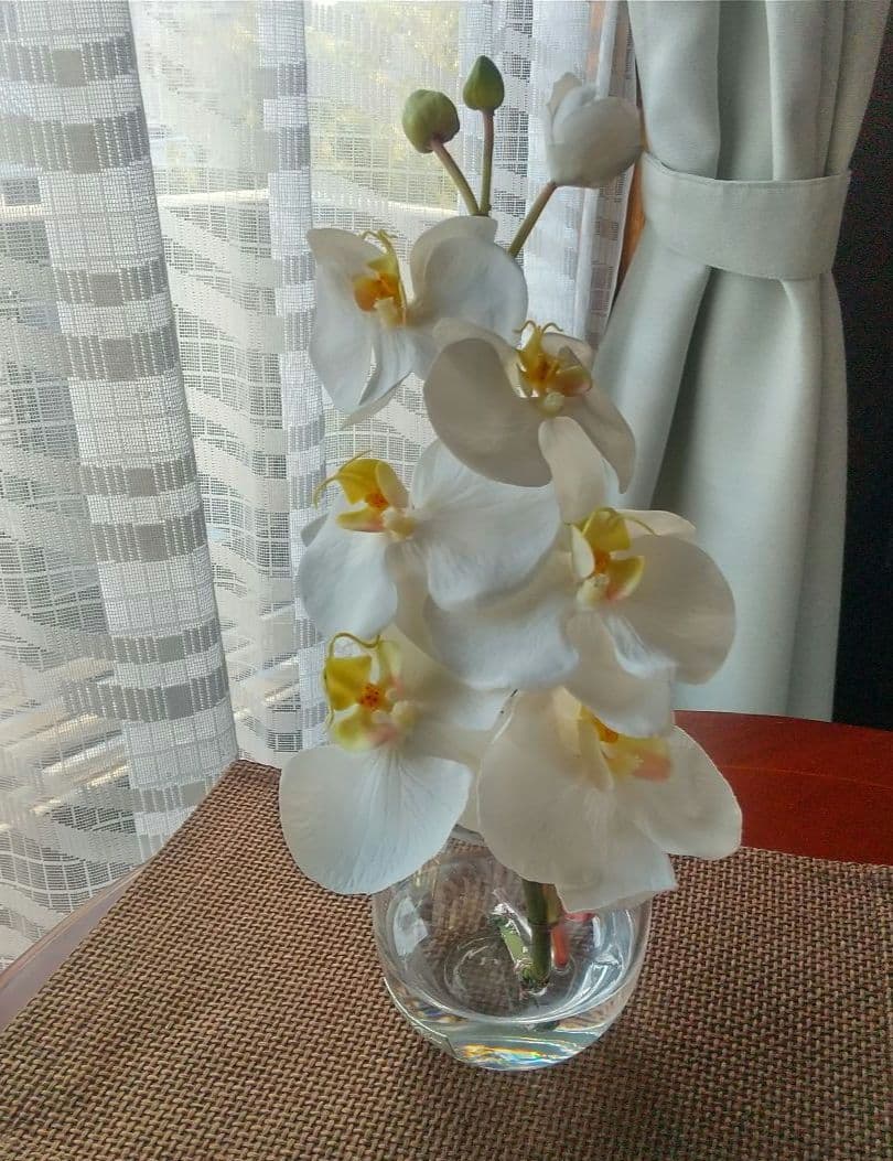 エリミオロバ 胡蝶蘭　造花 アレンジメント