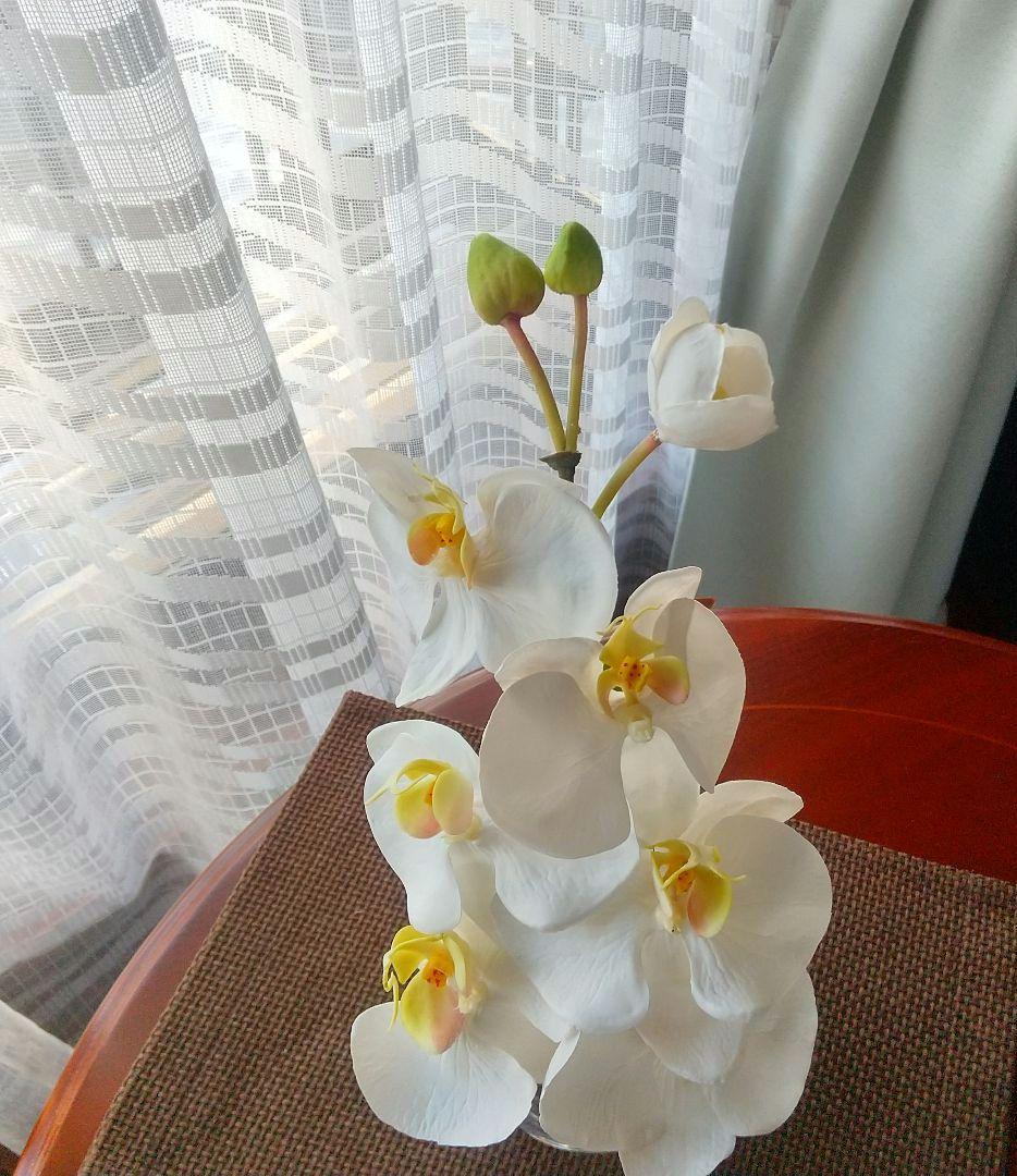 エリミオロバ 胡蝶蘭　造花 アレンジメント