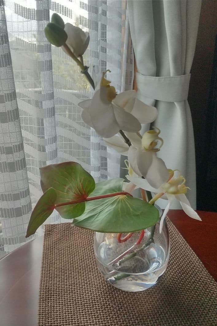 エリミオロバ 胡蝶蘭　造花 アレンジメント