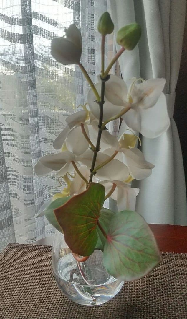 エリミオロバ 胡蝶蘭　造花 アレンジメント