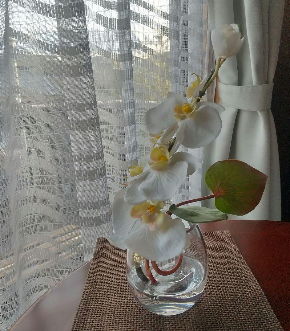 エリミオロバ 胡蝶蘭　造花 アレンジメント