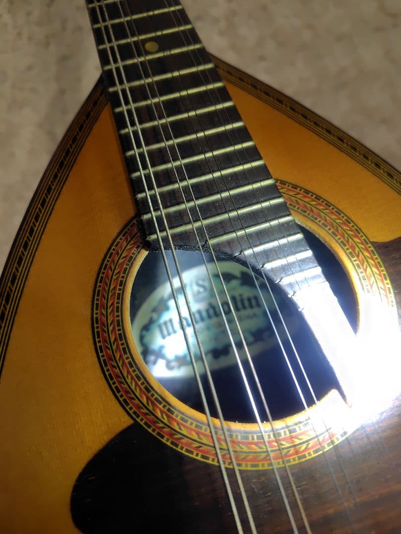 スズキ マンドリン No.70 KISO HUKUSHIMA ハードケース付き