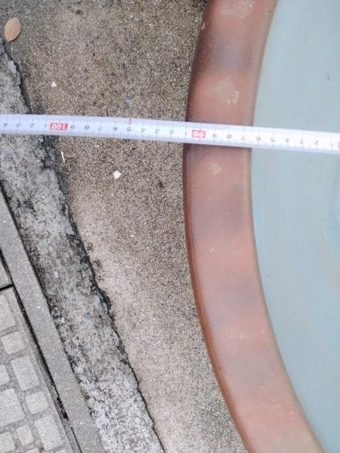 巨大水鉢　91x39cm　上縁4.5底径38cm　35kgぐらい　簡易ビオトープ