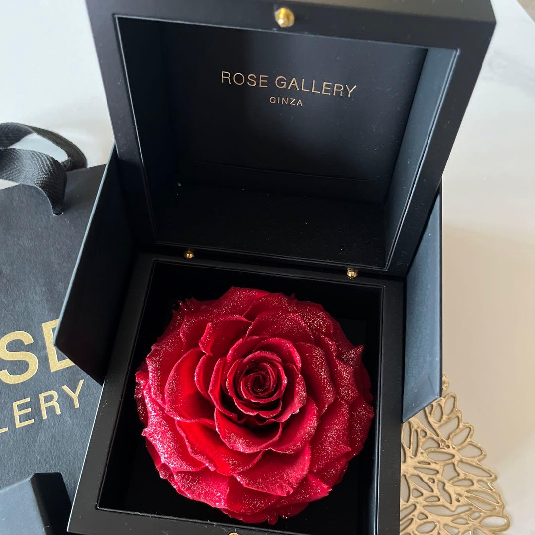 ROSE GALLERY L size レッドローズ