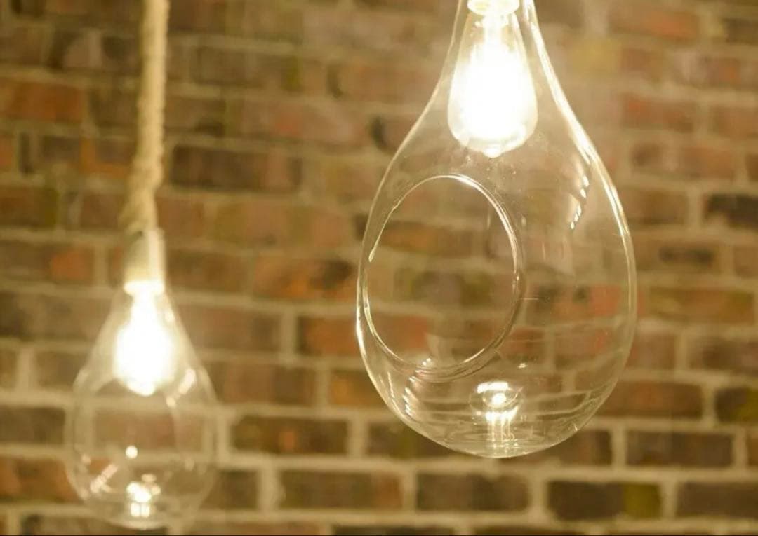 【未使用品】BOTANIC HANGING LIGHT Lサイズ　スワン電器