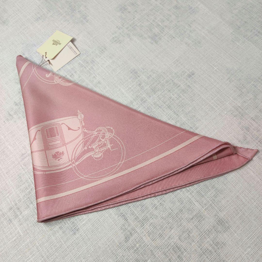 新品未使用　HERMES　Pointu《EX-LIBRIS》トライアングル