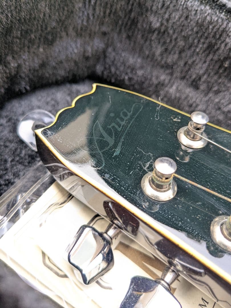 美品 Aria AM-200 フラットマンドリン バードケース付属品多数 アリア