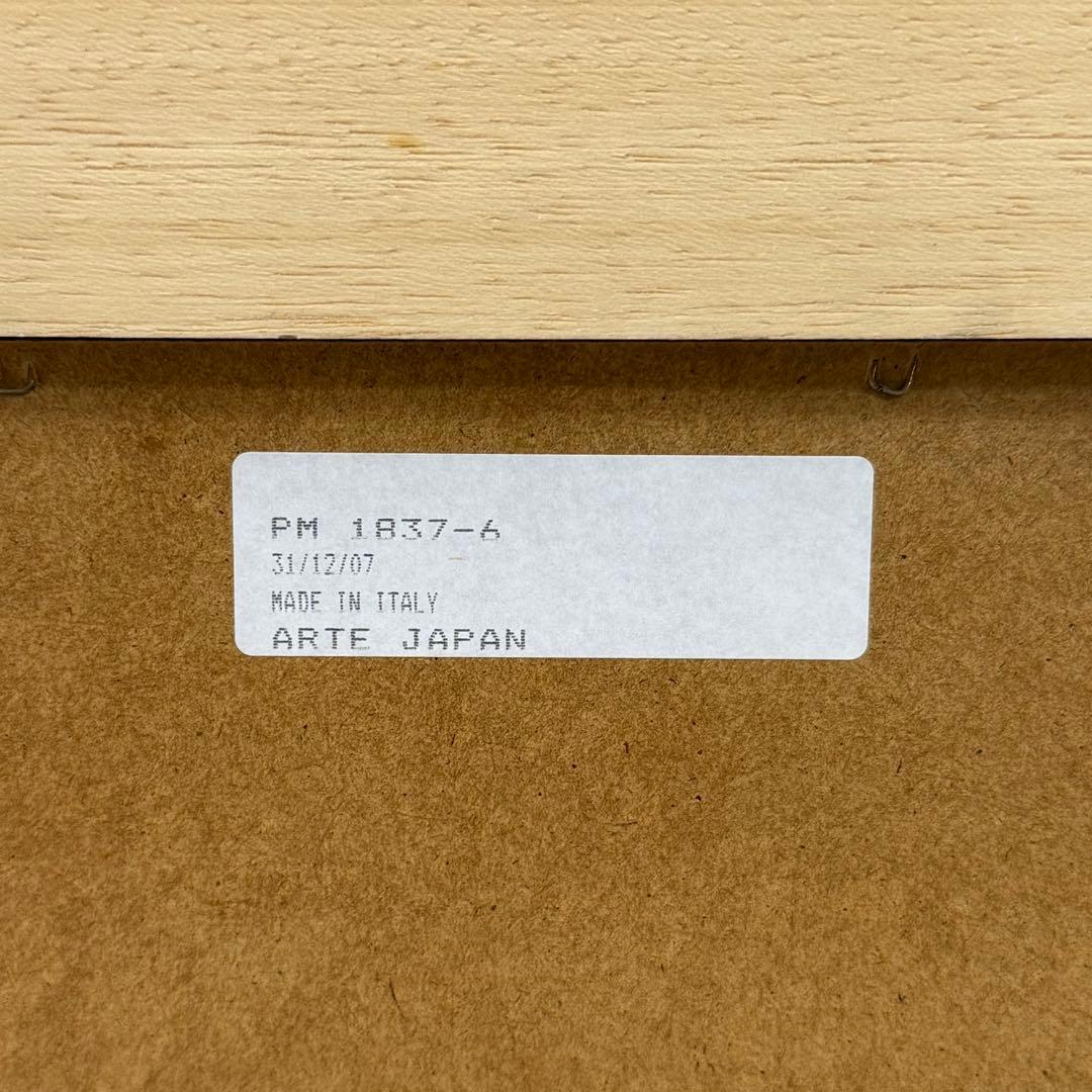 H17K49 イタリア製 ARTE JAPAN アルテジャパン ウォールミラー