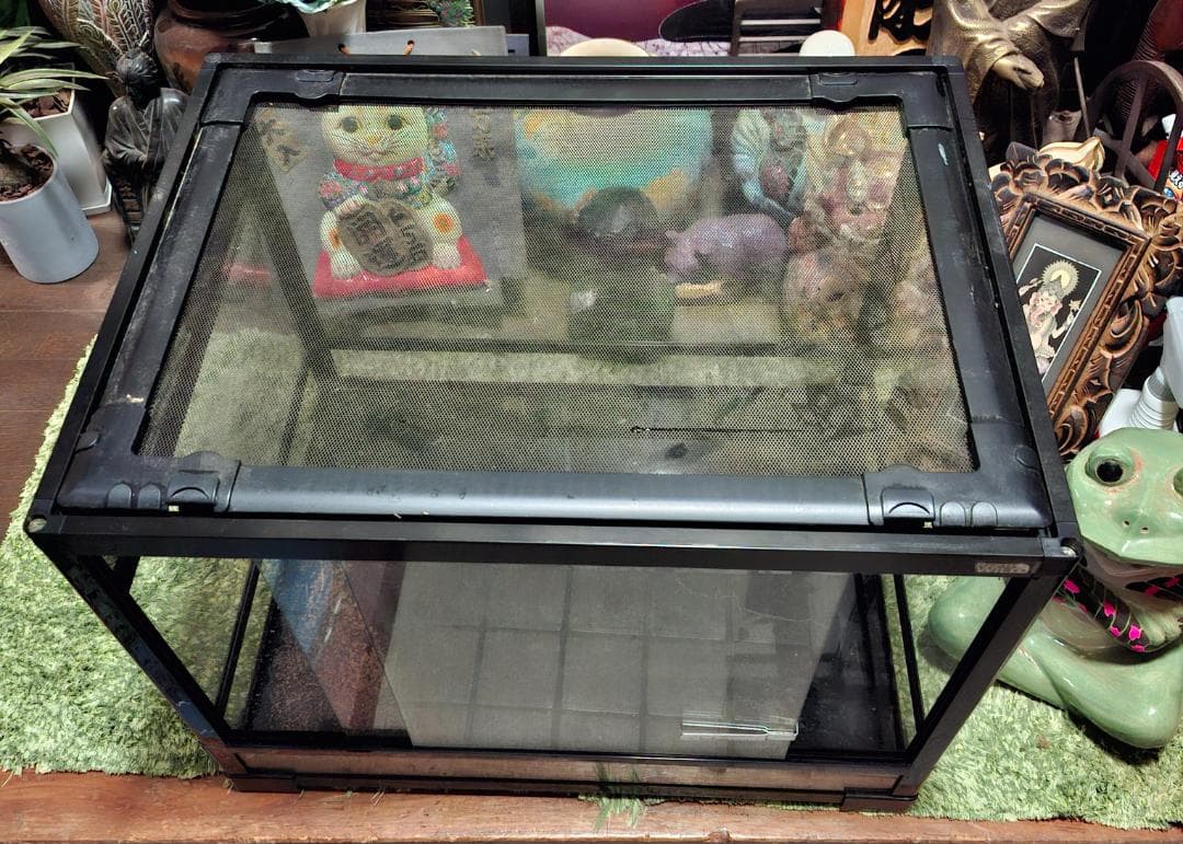 最終価格！レプティワイルド　パンテオン６０４５