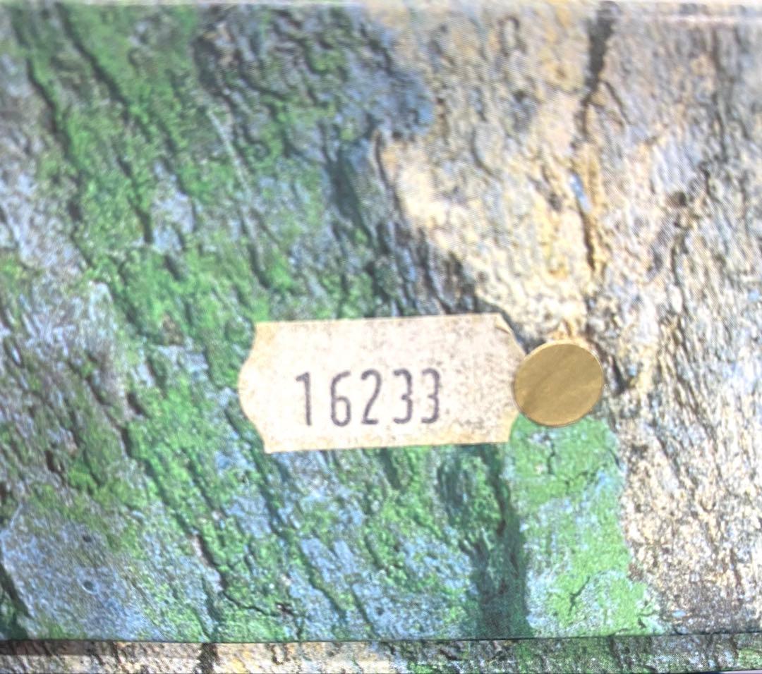 ROLEX 空箱 純正付属品フルセット