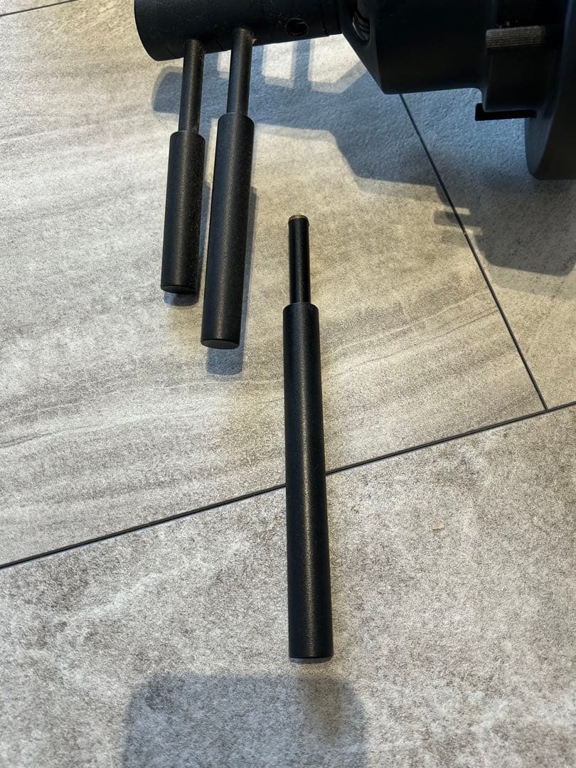 Ronne シーリングライト マットブラックゴールド