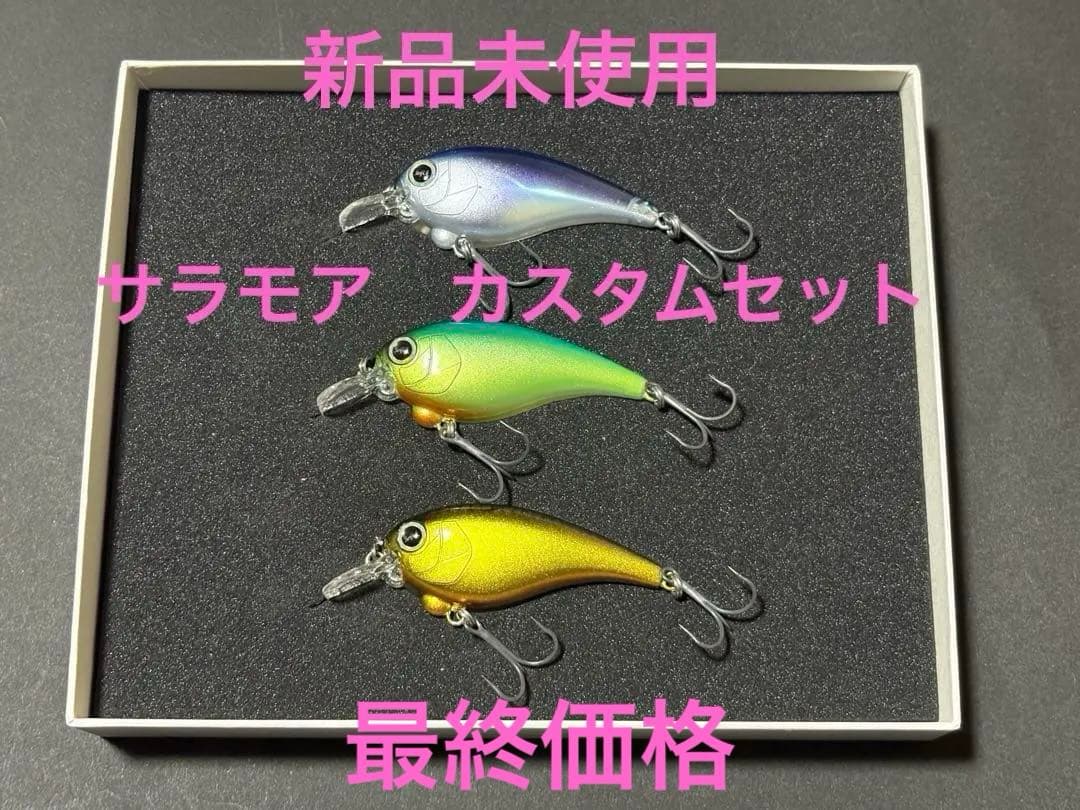 【新品未使用】レヴォニック　カスタムセット　サラモア