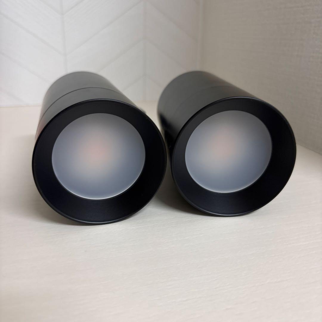 DAIKO DSL-5325YB スポットライト 配線ダクト用 黒 2個セット