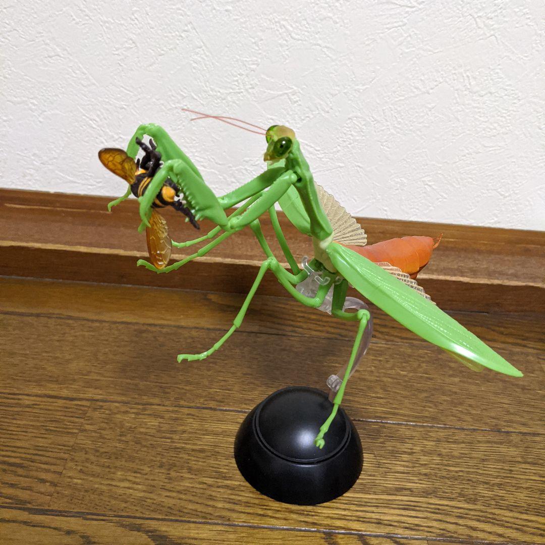 カマキリＶＳスズメバチ
