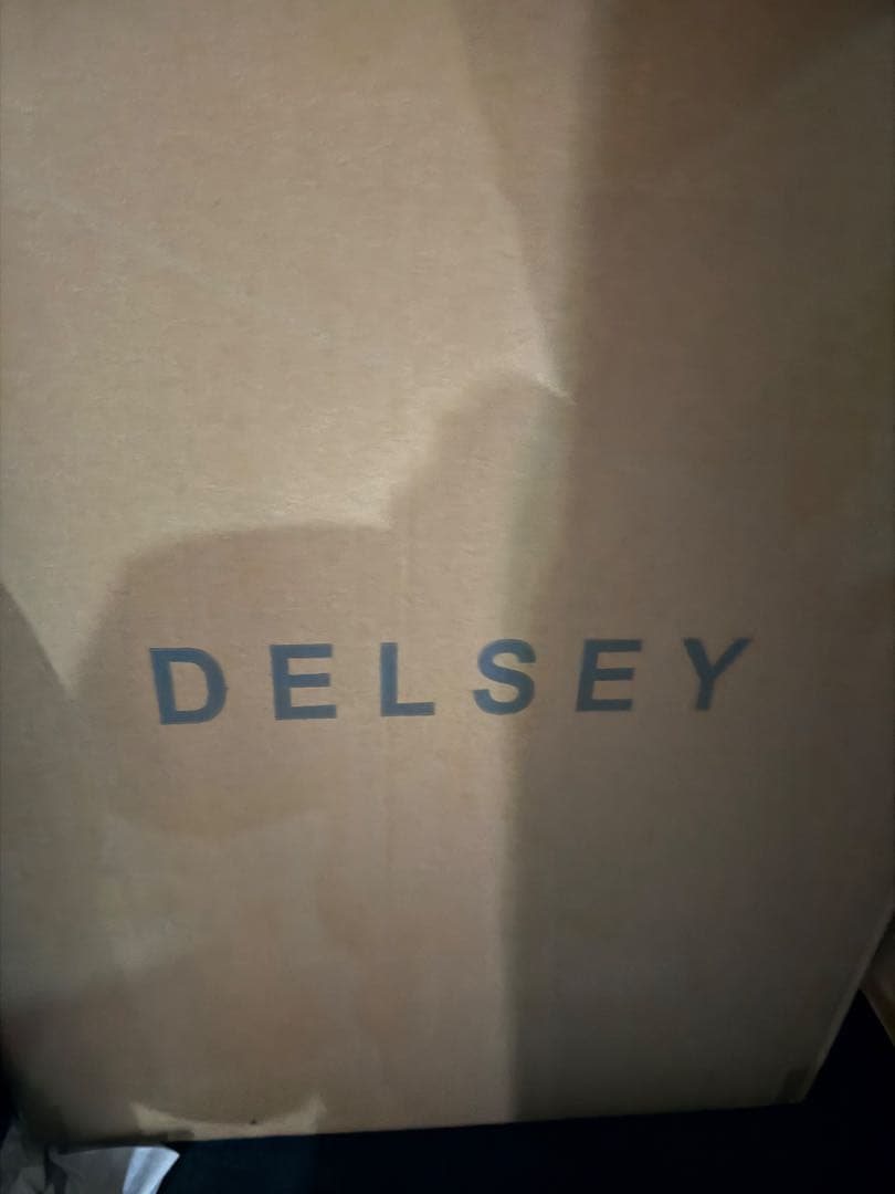 【新品未使用】　DELSEY　デルセー　スーツケース　77L シルバー