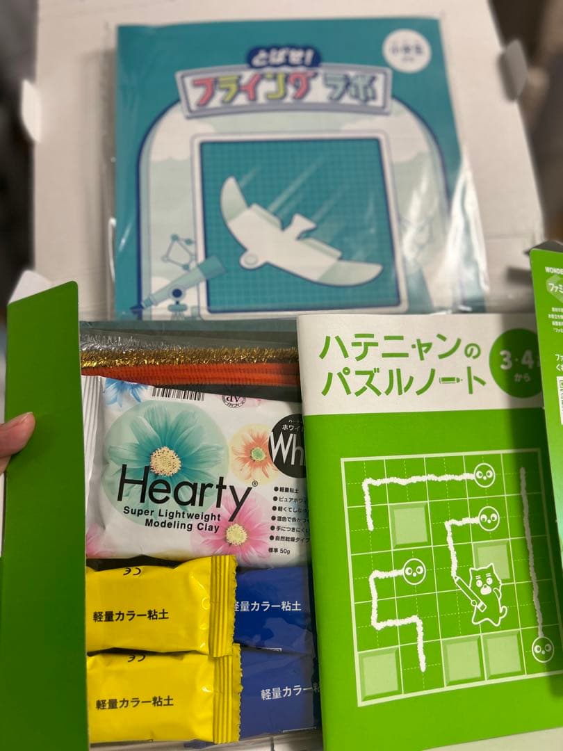 【STEAM教育】ワンダーボックス11ヶ月✖️2人分