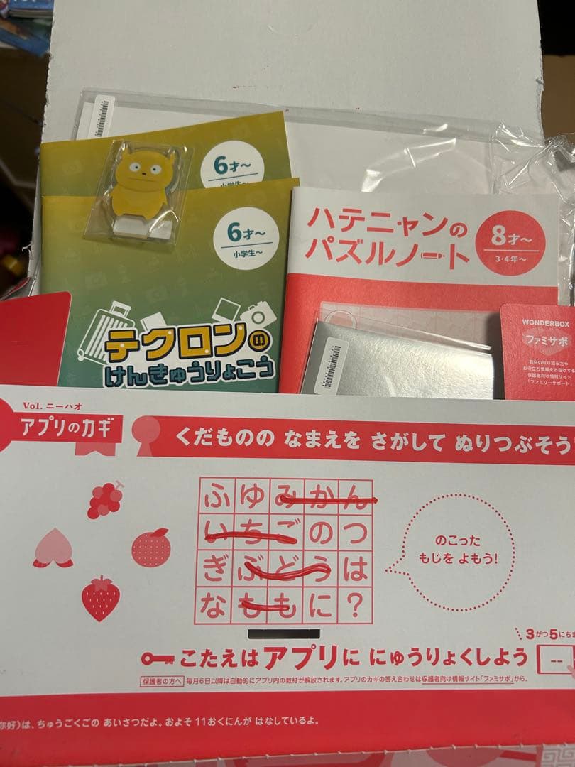 【STEAM教育】ワンダーボックス11ヶ月✖️2人分