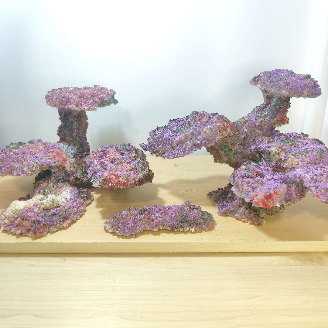 新品アク抜き不要 分離型人工ライブロック 60cm海水水槽用 レプリカ 多孔質4