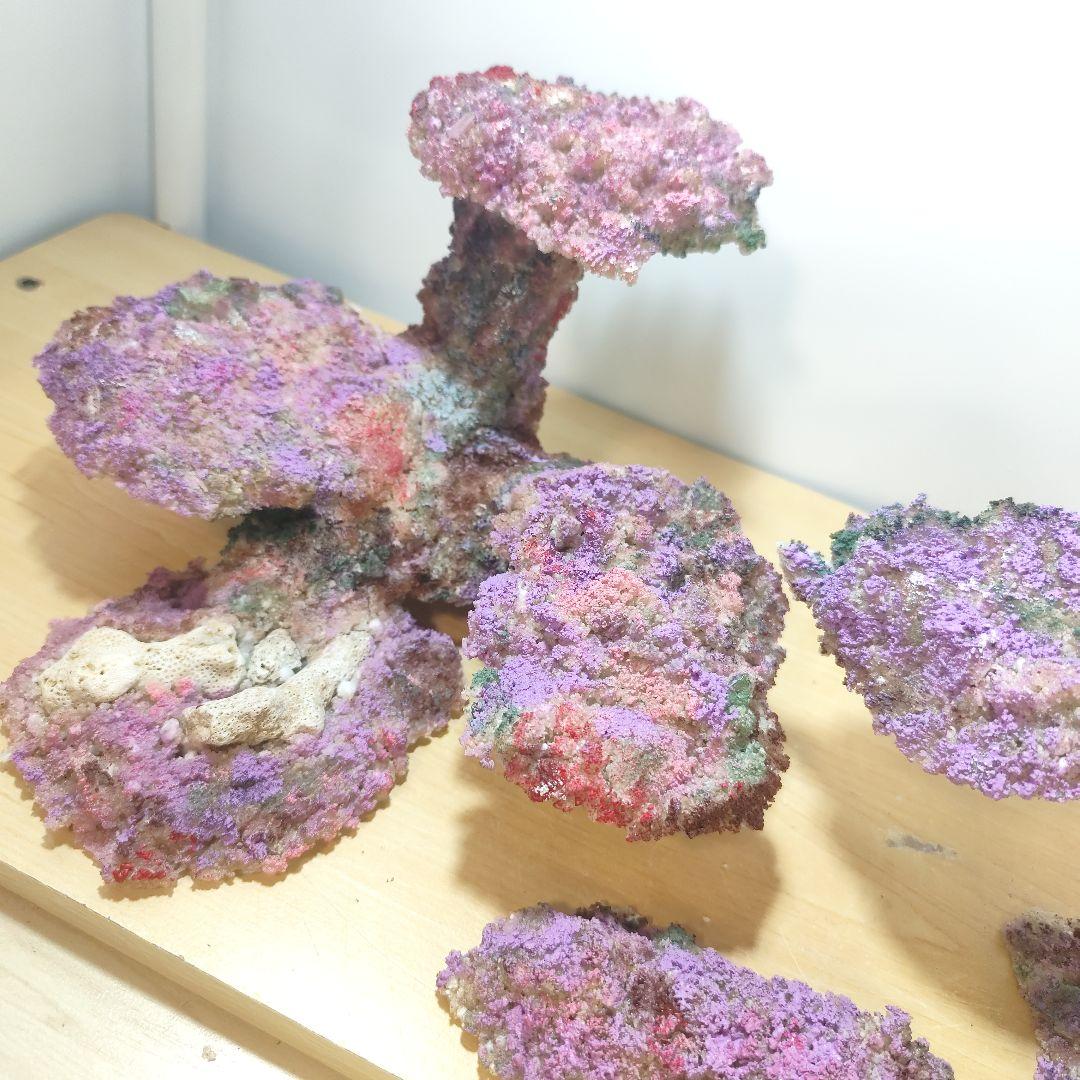 新品アク抜き不要 分離型人工ライブロック 60cm海水水槽用 レプリカ 多孔質4