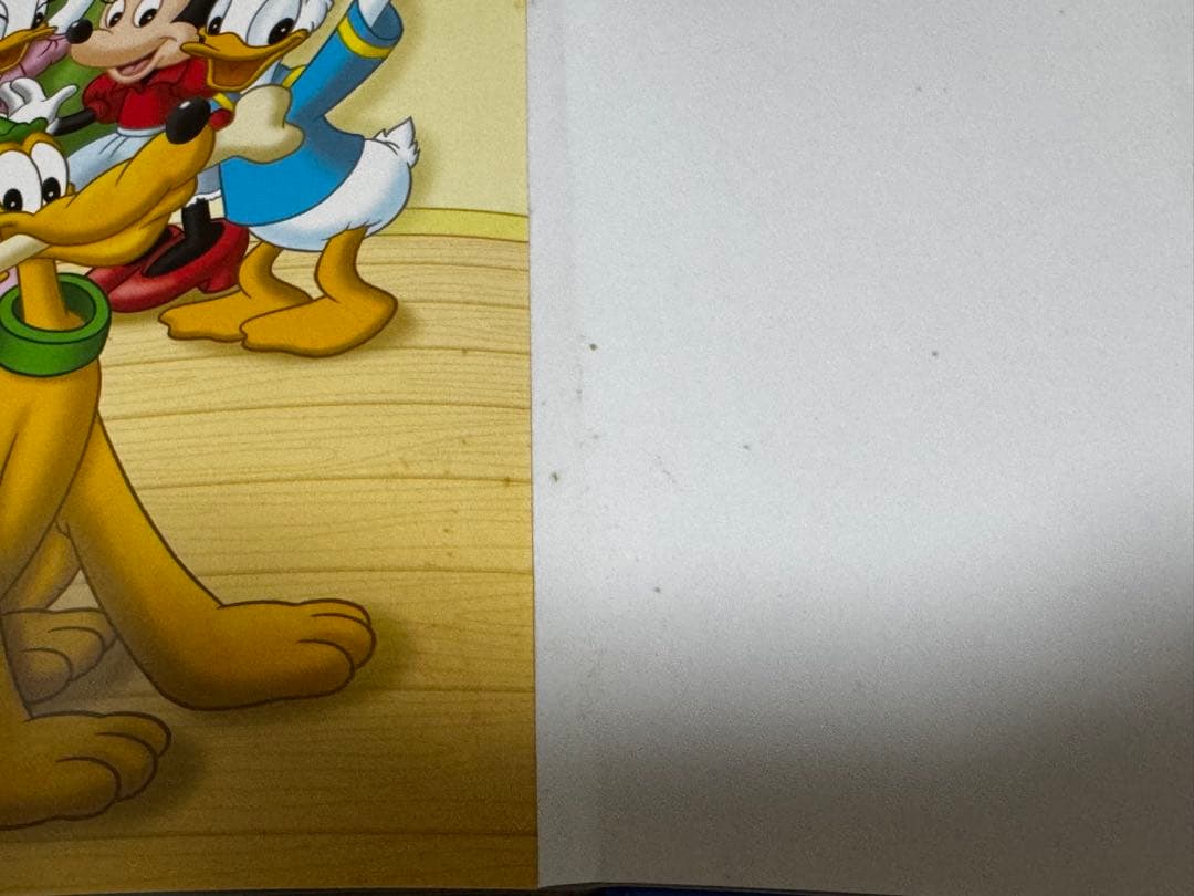 【ひまわり】DWE② (2/5箱)