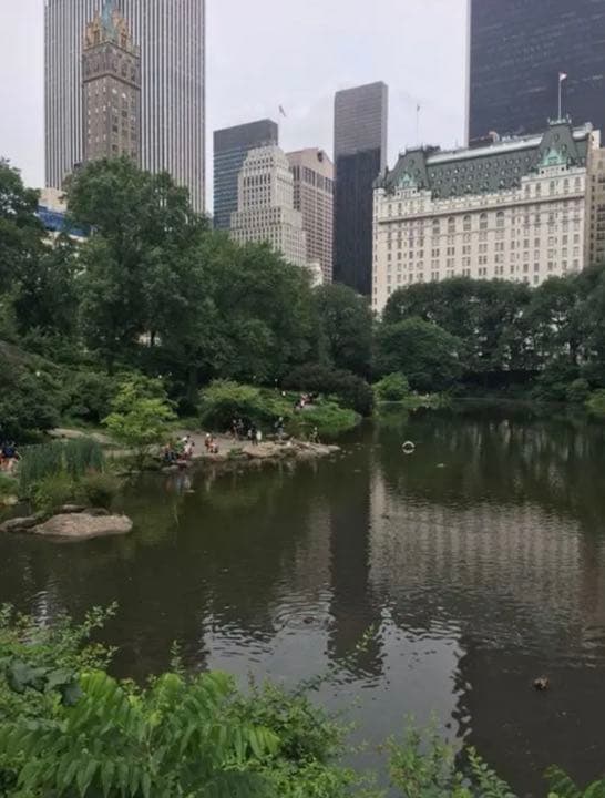 BERNARDAUD ディナープレート　プレート　皿　プラザホテル　NY