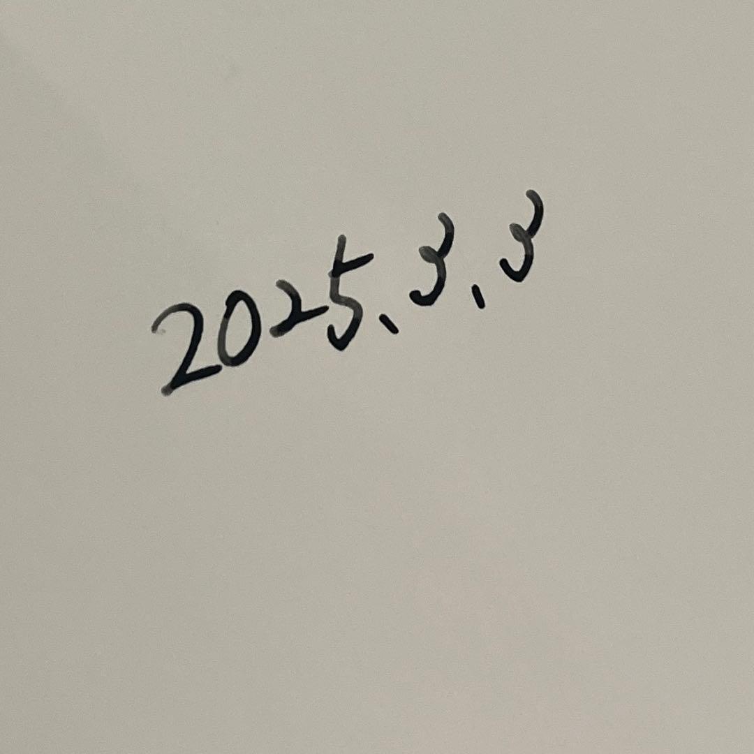 モンブラン　万年筆　マイスターシュテュック プラチナコーティング 149 F