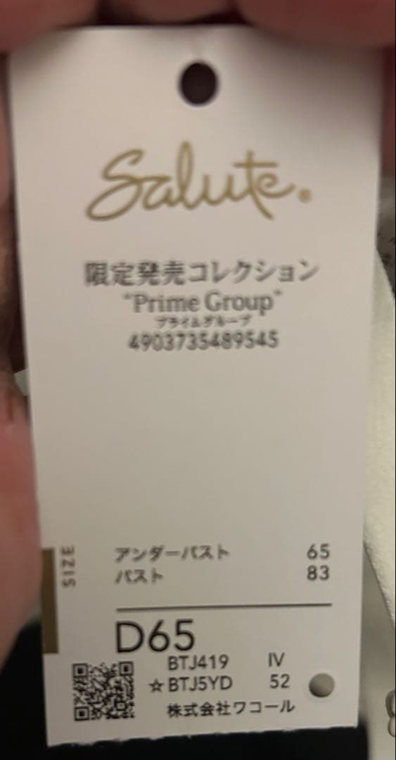 新品Salute 限定販売 D65セットアップ