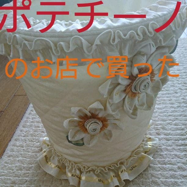 Bel Paci！ポテチーノのお店で買った！超可愛いいバスケット！