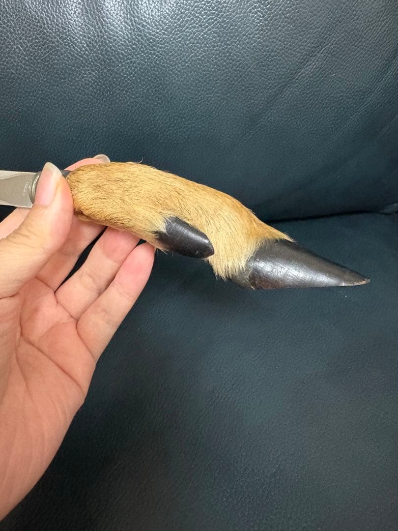 rostfrei ペーパーナイフ　鹿蹄ハンドル　鹿のヒヅメ　ロストフライ　レア