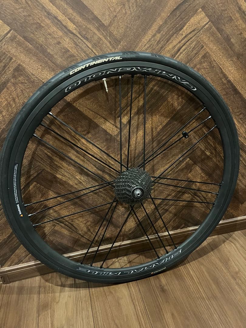 こいけん　シャマルミレc17