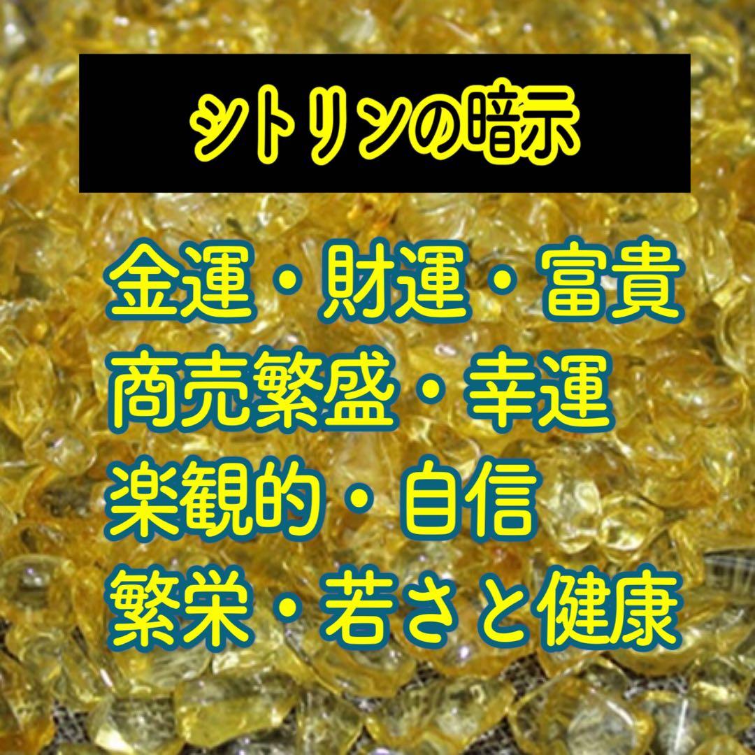 【特大76mmサイズ】白蛇抜け殻入りプレミアムオルゴナイト＊昇り龍＊おまけ2個付