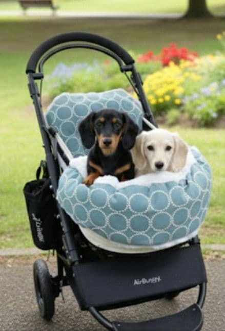 ❤３点セット❤ペットカートコンフォーター＆ライナー＆ピロー　ブルー✕ホワイト