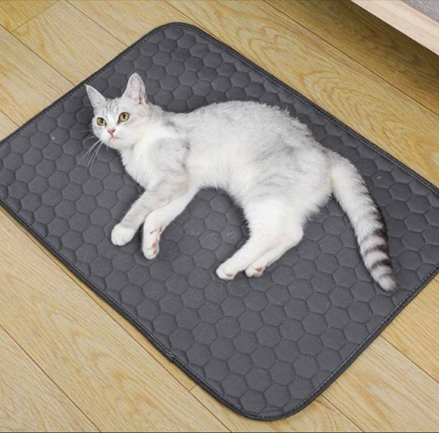 Ｌベージュ シート トイレ　洗える　ペット　犬　猫　吸水　マット　2枚