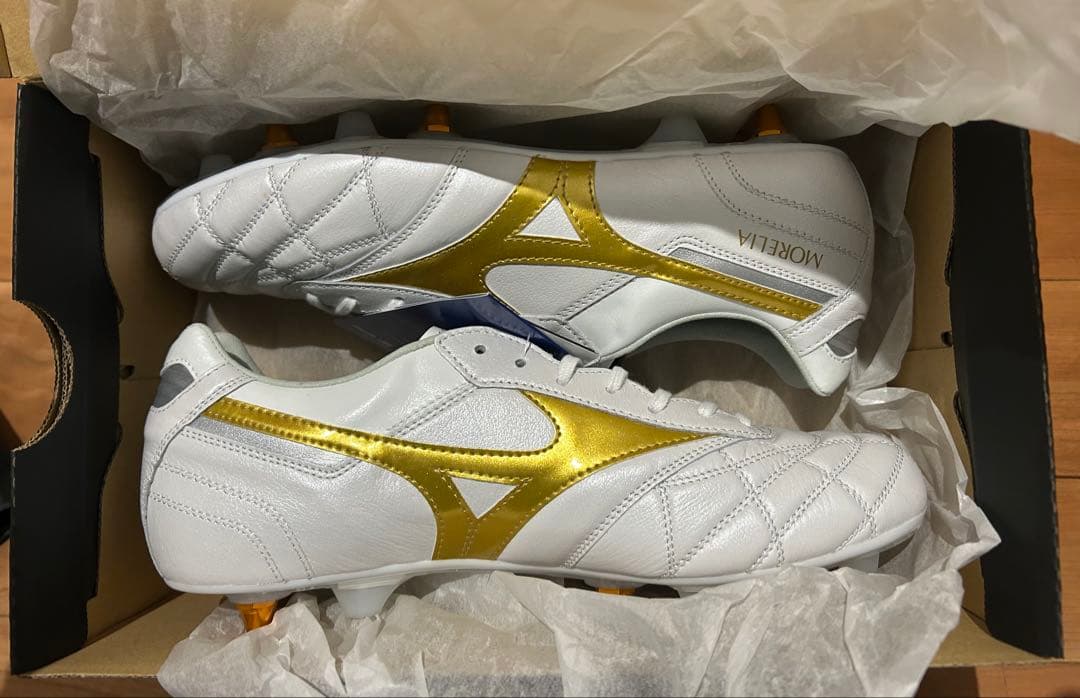 モレリア2 mix 26.5cm