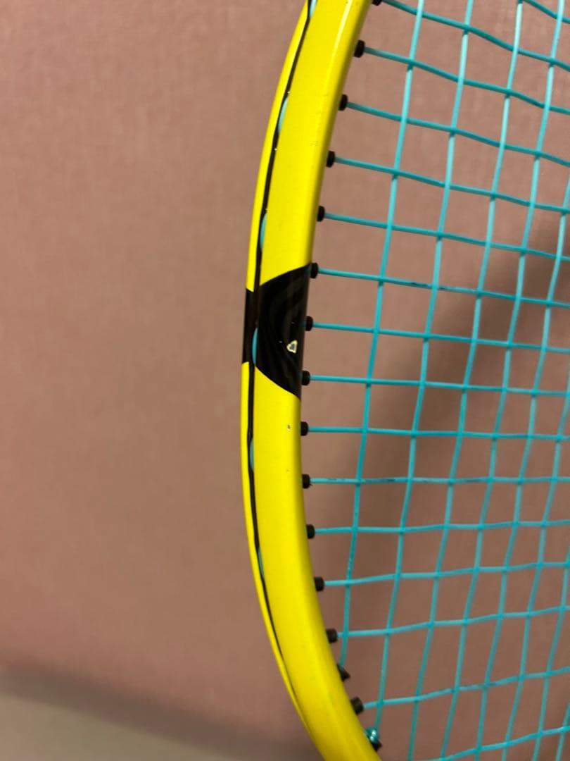 ダンロップ　SX300TOUR 2本セット　G2