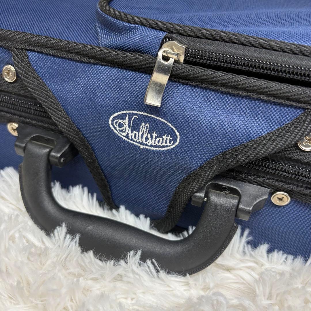 ち*ん様 Hallstatt エレキバイオリン CV-210E ハルシュタット