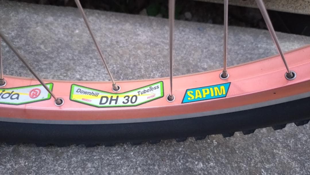 MAGURA Gustav M Rigida DH30 SAPIM 前後セット