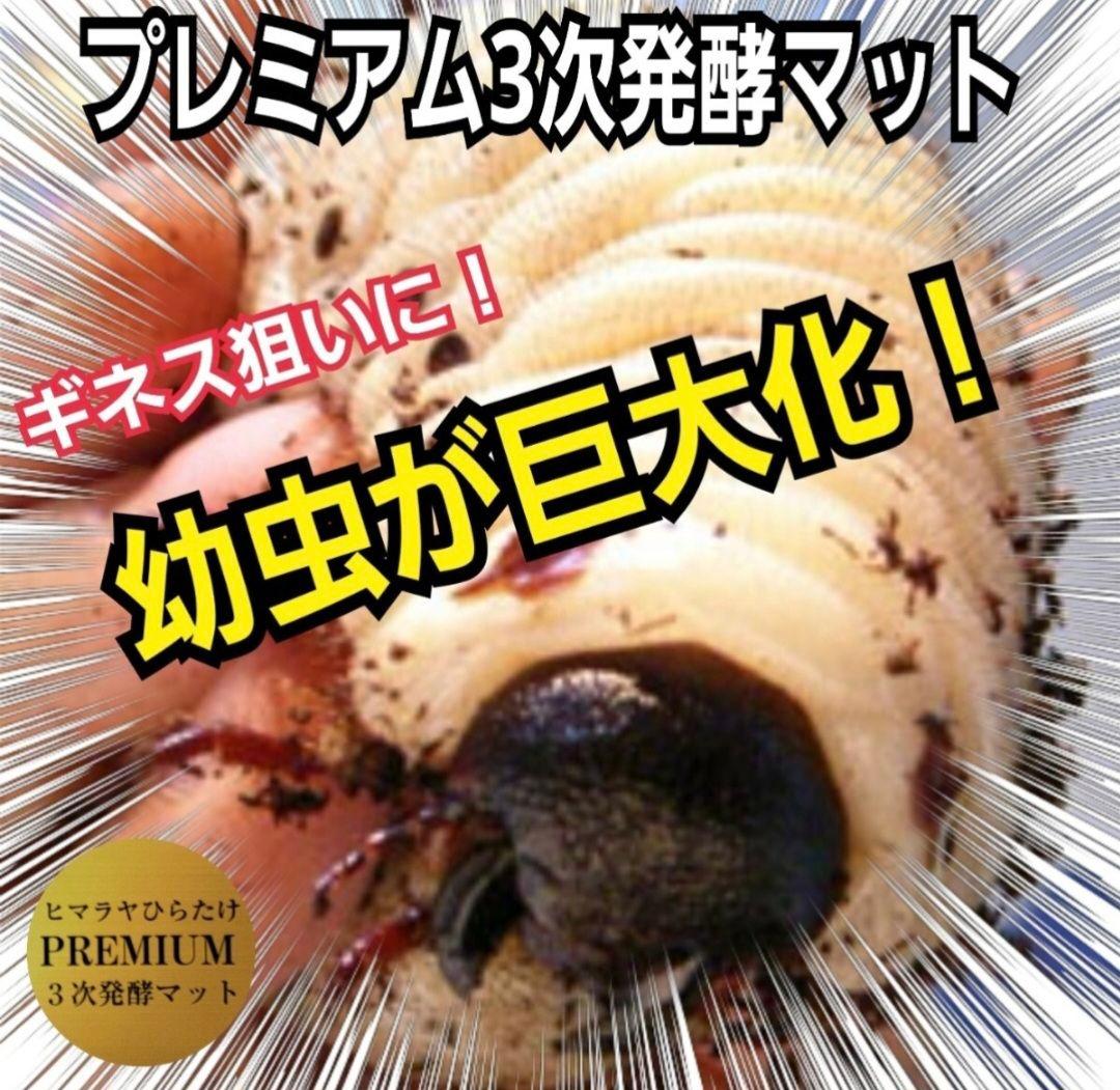特大20Lボックス入【2ケース】プレミアム発酵マット☆カブトムシ幼虫を入れるだけ