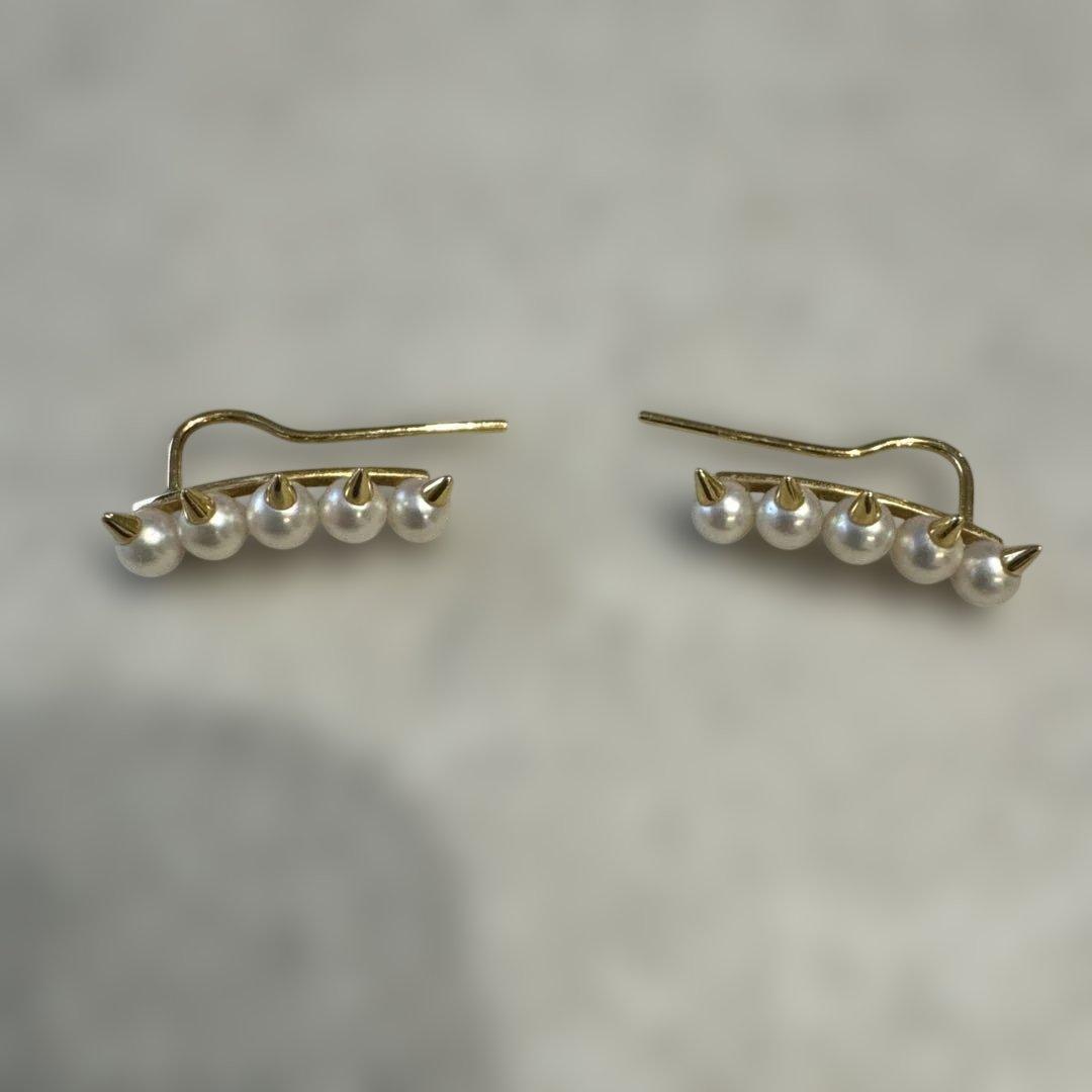 tasaki デインジャー プラスイヤリング（ピアス） YG