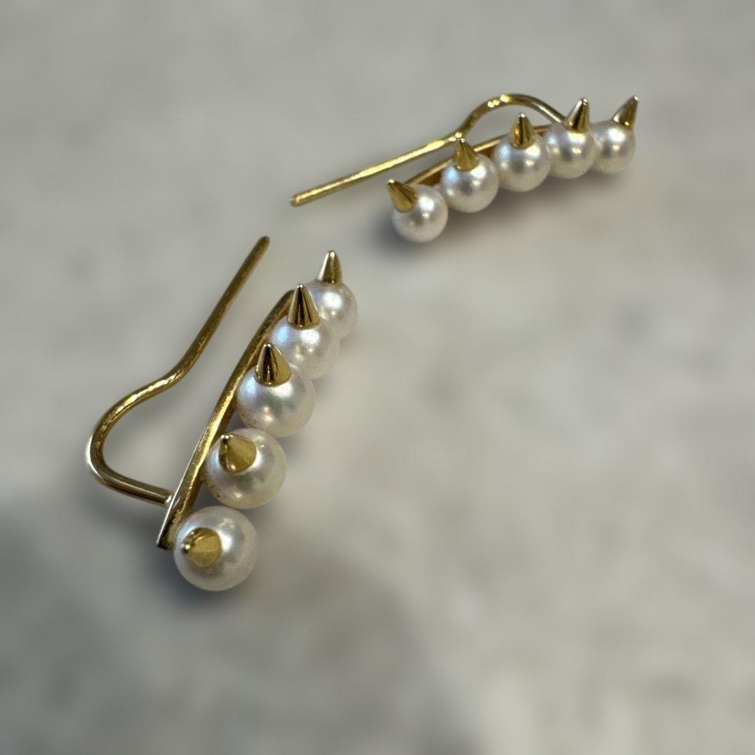 tasaki デインジャー プラスイヤリング（ピアス） YG