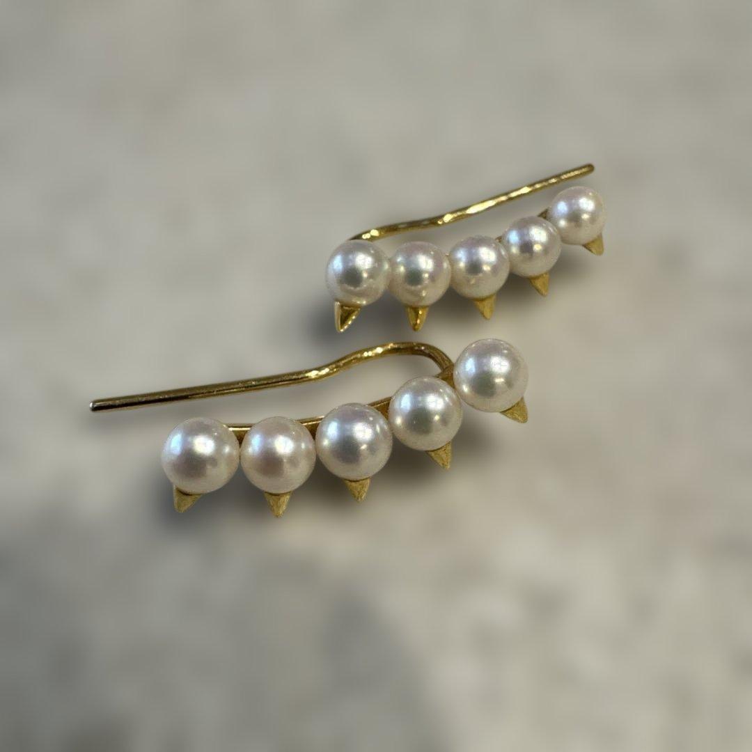 tasaki デインジャー プラスイヤリング（ピアス） YG
