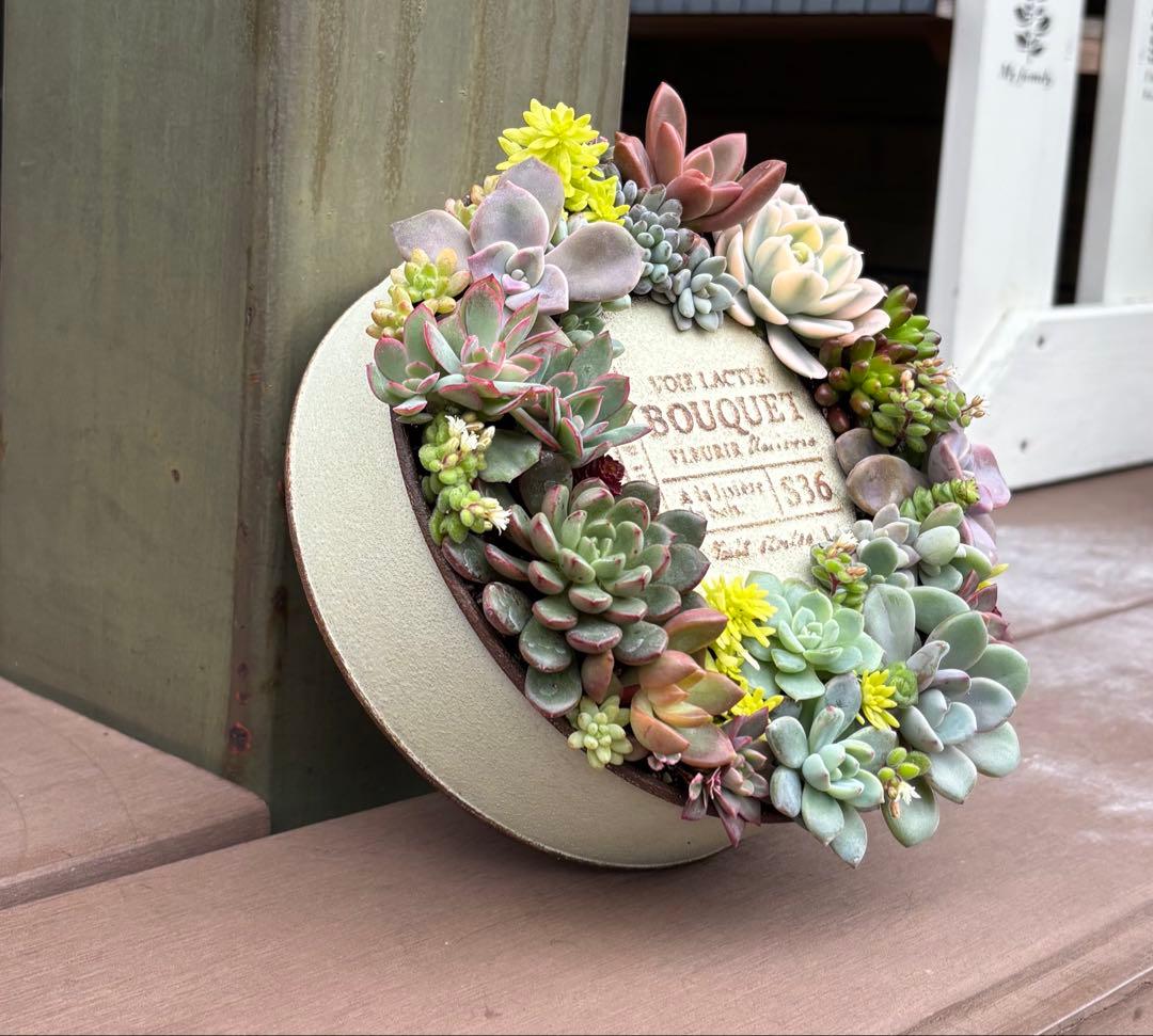 多肉植物 寄せ植え そのまま飾れる♡.*゜リース♡*°ホワイトNo.1