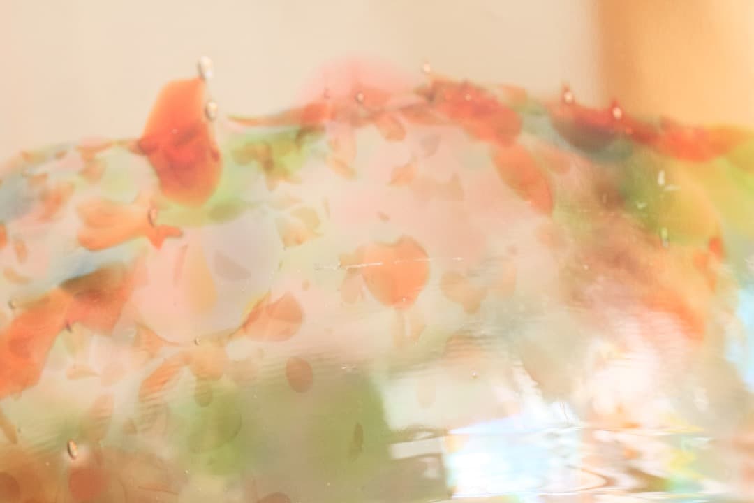 5521 Atolli ボウル　ヌータヤルヴィ　ガラス　Oiva Toikka