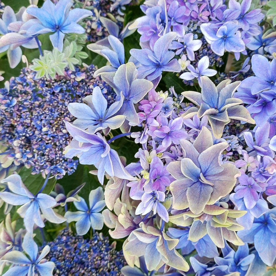十三郎☆彡☘️ページ•*¨*•.¸♬︎