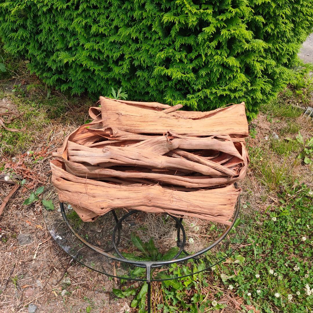 青森岩木山産 山葡萄 皮 樹皮 約2kg