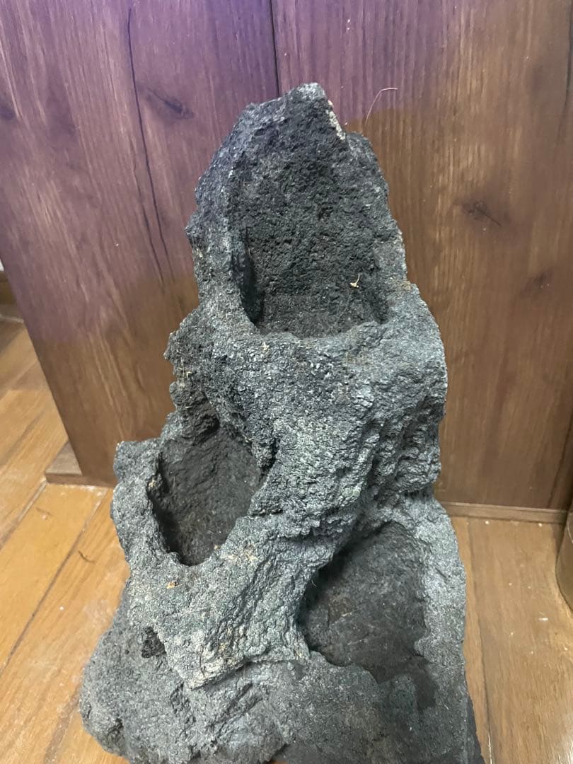 ADA 雲山石　特大サイズ？