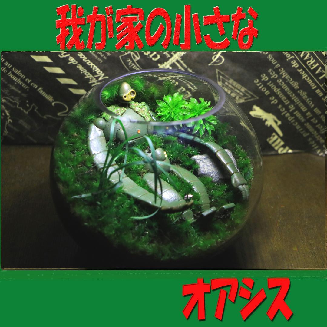 苔テラリウム　オーダー品受け付 販売中　和み　我が家の小さなオアシス